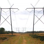 Power Line Corridor Wetlands Delineation and Evaluation