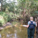 Surface Water Quality and Stream Condition Index Evaluation